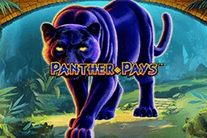 Playtech : Panther Pays - AGENT188