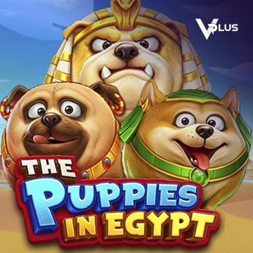 Vplus : The Puppies In Egypt - AGENT188
