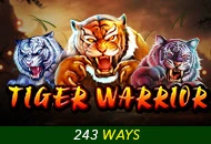 Spadegaming : Tiger Warrior - AGENT188