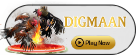 Digman - AGENT188